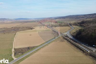 Teren de 19319 mp, în Laslea - 4