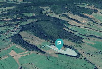 Teren de 92294 in Halmagiu - 2