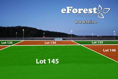 EForest, Loturi de teren 720mp langa padure, acces DN1A - 3