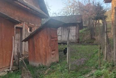 Casă cu 3 camere cu Teren 2000 Mp în Curtuiușu Mare - 4