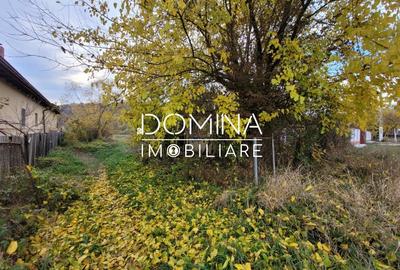 Teren Construcții intravilan de 4967 mp, în Bălești - 4