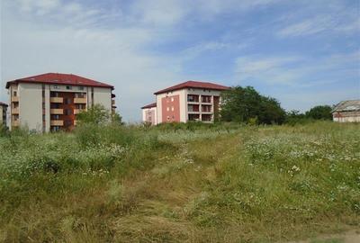 Teren Construcții intravilan de 15000 mp, în Micălaca - 7
