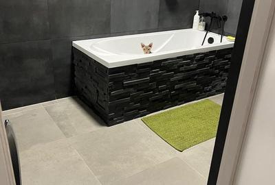 Apartament cu 3 camere decomandat, mobilat în Dristor - 12