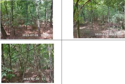 Teren padure, cota de 1/48 Horgesti, ID: R2325871 - 1