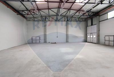 Spatiu industrial hala de vanzare Chitila