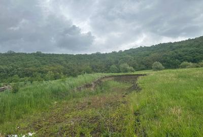 Spațiu comercial, în Herghelia - 1