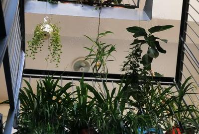 Apartament deosebit 3 camere decomandat et 1 centru 90 mp negociabil - 14