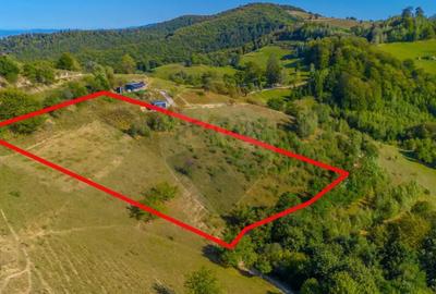 Teren de 6014 mp, în Holbav - 14