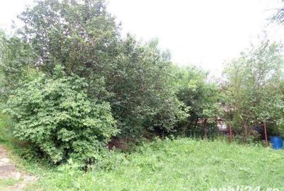 Teren de 3200 mp, în Câmpina - 2