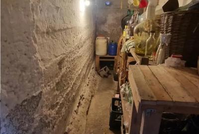 Casă cu 5 camere cu Teren 240 Mp în Zizin - 2