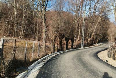 Spațiu comercial, în Nucșoara - 5