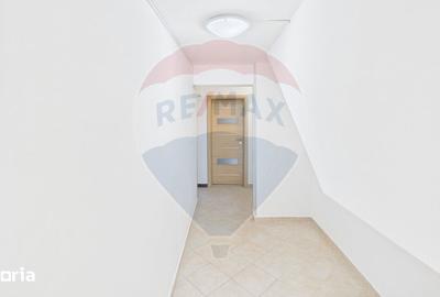 Apartament cu 5 camere în Tineretului - 15