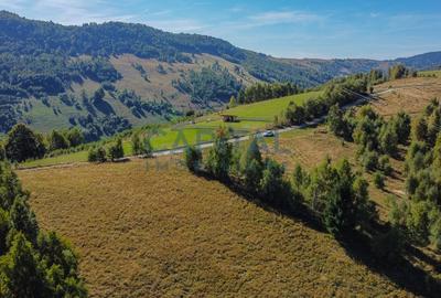 Comision 0% teren intravilan 1000 mp, PUZ, priveliste, Baisoara - 13