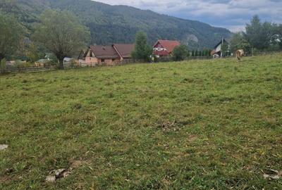 Teren de 1500 mp, în Moieciu - 1