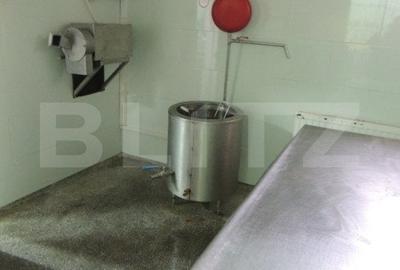 Cladire de vanzare (fosta fabrica de lactate) Cladire de vanzare (fosta fabrica de lactate) - 13