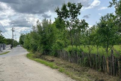 Spațiu comercial, în Brebu - 6