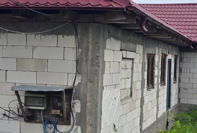 Casă individuală cu 3 camere cu Canalizare în Irești - 10