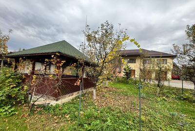CASA DE VIS SAU AFACERE DE SUCCES BAIA SPRIE - 33
