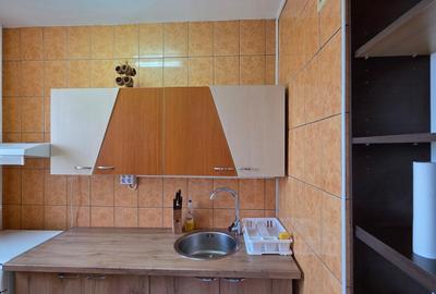 Garsoniera de inchiriat in zona Brancoveanu / Izvorul Rece - 5