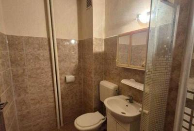 Apartament cu 2 camere decomandat în Podgoria - 8