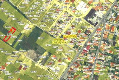Teren de 750 mp, în Viile Noi - 5