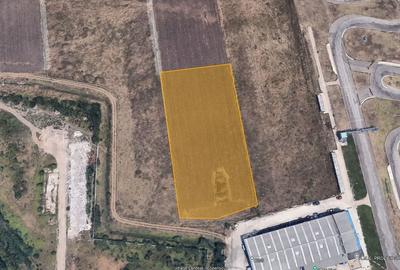 Teren cu autorizație de construire – 14 case | Tunari - 9