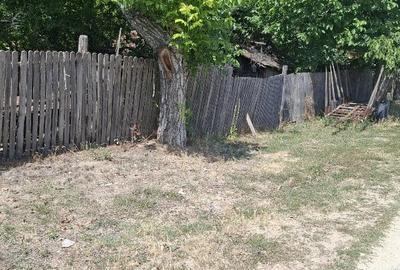 Casă cu 3 camere cu Teren 10000 Mp în Răduțești - 4