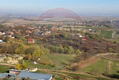 Teren extravilan de 3826 mp, în Moldovenești - 4