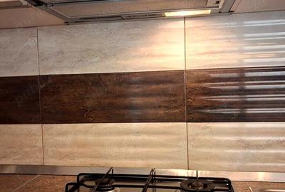 Plevnei - Spitalul Militar, inchiriere 2 camere 68 mp - 5