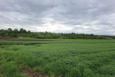 Teren de 1150 mp, în Mihai Viteazu - 2