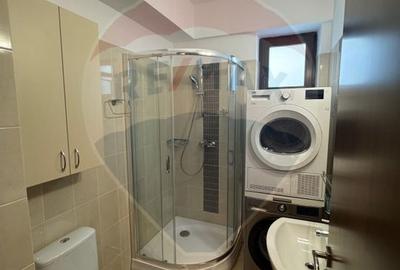 Apartament 3 camere de inchiriat langa Arcul de Triumf /Herastrau - 13