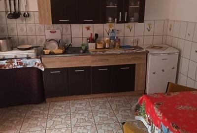 Casa 5 camere Rau Sadului - 8