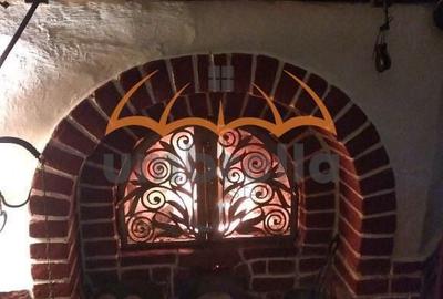 Casă cu 7 camere cu Teren 9948 Mp în Arefu - 12