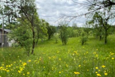 Teren de 4200 mp, în Ocina de Sus - 8