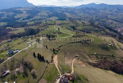 Teren de 3791 mp, în Moieciu - 1