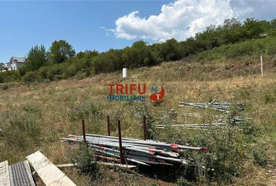 Teren de vanzare 600 mp zona Piata Cetate - 3