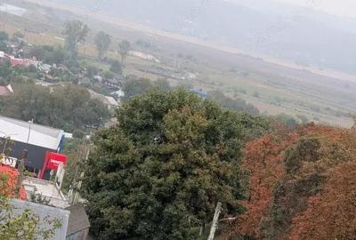 Apartament 3 camere Buhu?i - Republicii Penny - 3