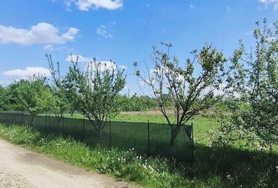 Teren de 940 mp, în Hemeiuș - 3