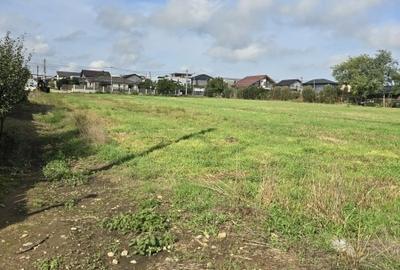 Teren Construcții intravilan de 5000 mp, în Lazu - 5