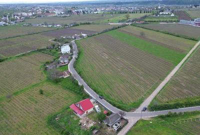 Casă individuală cu 3 camere cu Teren 1021 Mp în Vest - 3