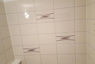 Pantelimon, zona Marius / Lidl / Baicului - 7