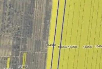 Teren extravilan cota 3/32 Smardan, ID: R2763204 - 5