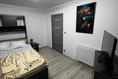 Apartament cu 2 camere semidecomandat în Ultracentral - 4