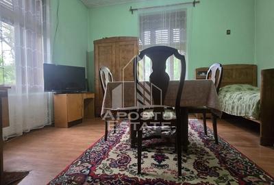 Proprietate cu potential turistic in Gurahont - 2