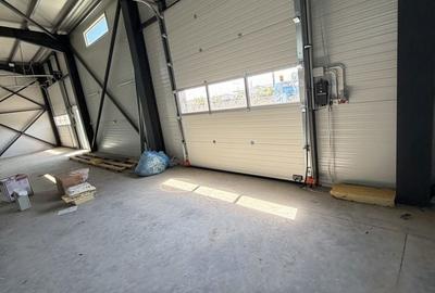 Spațiu comercial, de 400 mp, în Șagului - 5