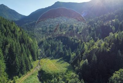 Teren agricol extravilan de 2895 mp, în Nord - 3