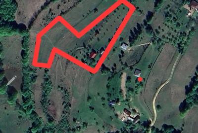 Casa locuibila + teren 8900 mp, utilita?i, anexa, livada-toate actele. - 7