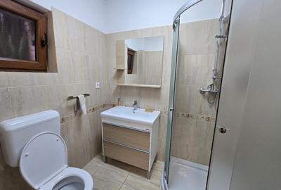 De inchiriat Casa insiruita, situata in zona Cetate. - 17