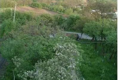 Vand casa si teren Drajna de Jos Vand casa si teren Drajna de Jos - 4