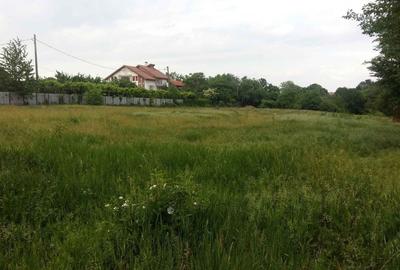 Teren 6000 mp pozitie deosebita lacul Baneasa adancime 140 m - 14